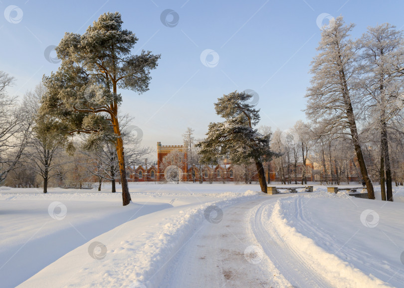 Скачать Дорожка в зимнем парке фотосток Ozero