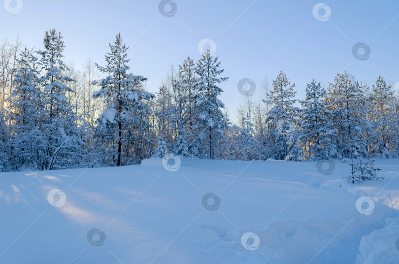 Скачать Заснеженный пейзаж  фотосток Ozero