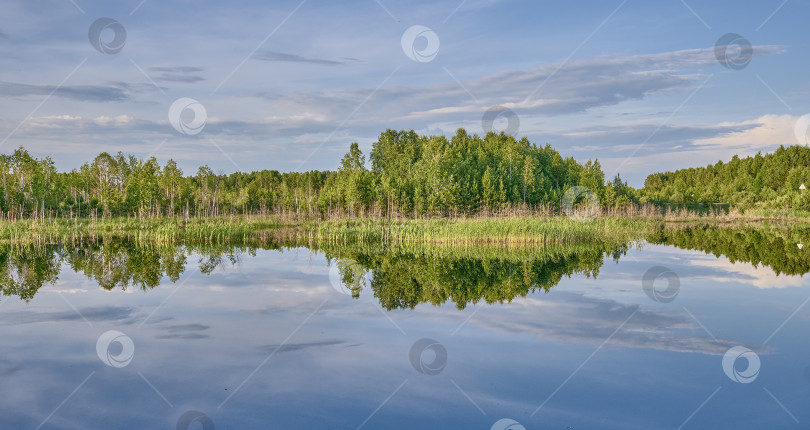 Скачать Прекрасный летний сельский пейзаж. фотосток Ozero