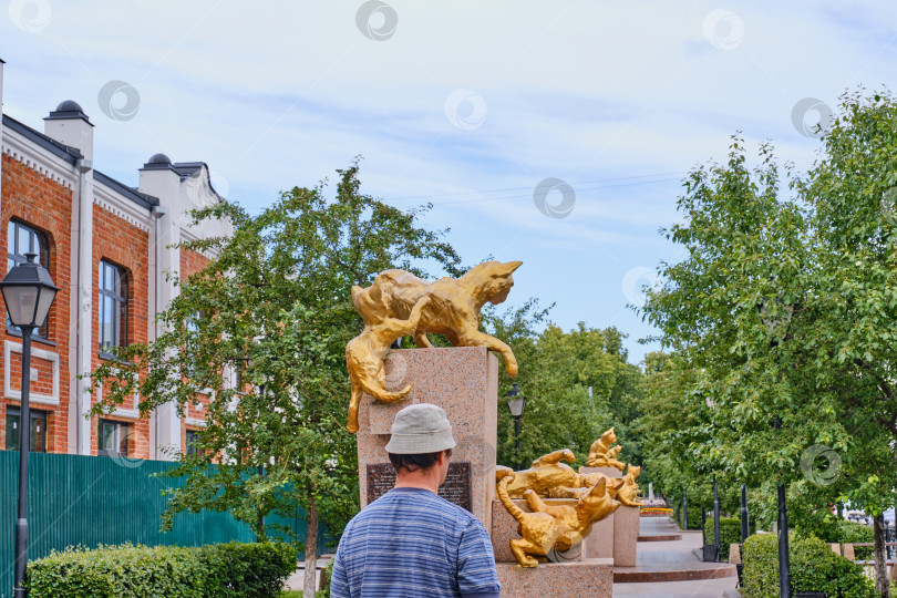 Скачать Турист прогуливается по скверу сибирских кошек фотосток Ozero