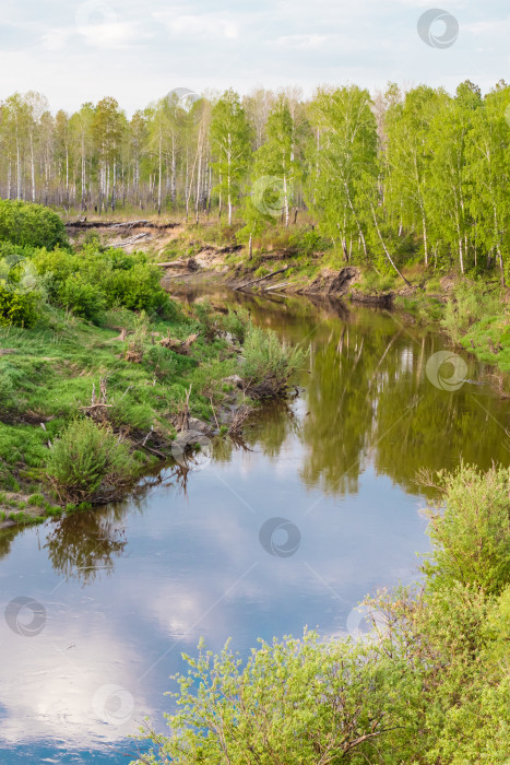 Скачать Весенний пейзаж. Сибирская река Вагай, Россия фотосток Ozero