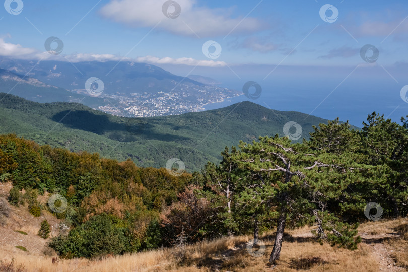 Скачать Крымские горы и облачное небо. Вид с плато Ай-Петри. На переднем плане красивые хвойные деревья. Горная сосна. фотосток Ozero