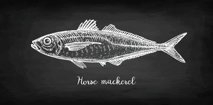 [object Object] undefined
