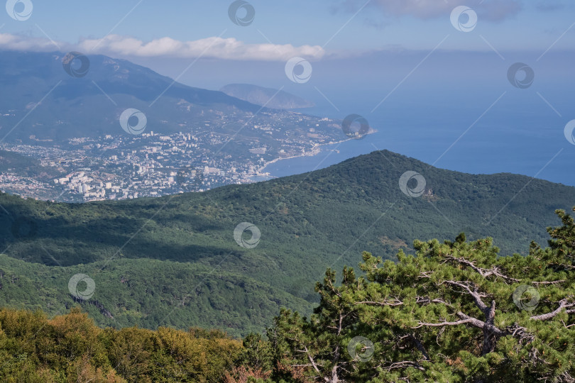 Скачать Крымские горы и облачное небо. Вид с плато Ай-Петри. На переднем плане красивые хвойные деревья. Горная сосна. фотосток Ozero