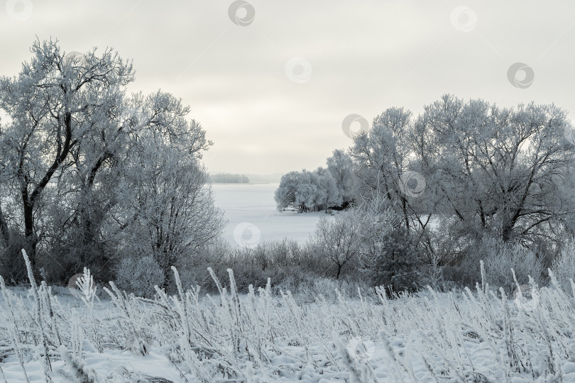 Скачать Зимнее озеро и небо фотосток Ozero