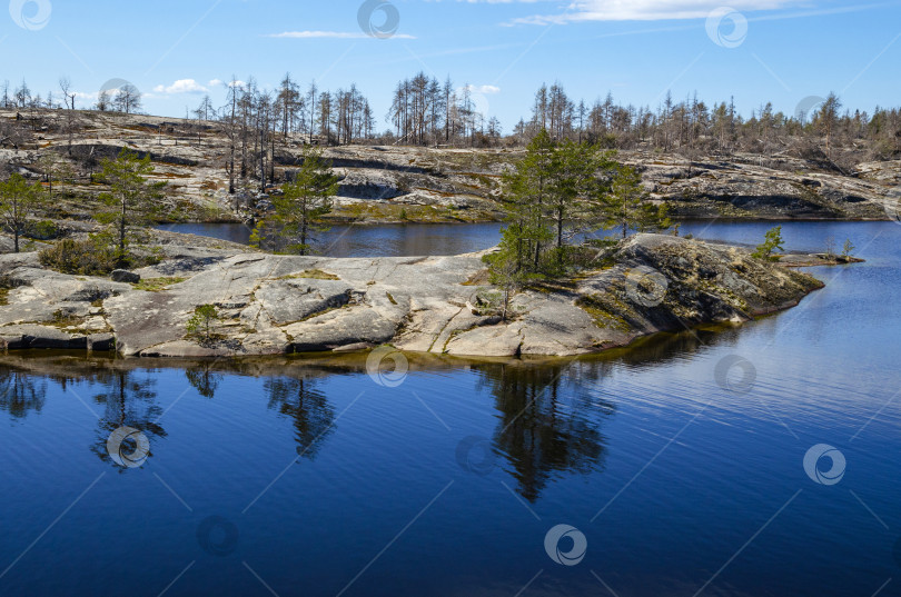 Скачать Ладожские шхеры фотосток Ozero