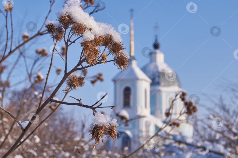 Скачать Рождество Христово в селе Юрасово 2019. Храм в честь Казанской иконы Божией Матери. фотосток Ozero