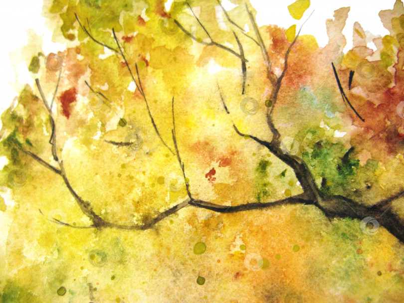 Скачать Акварель осенний желтый оранжевый зеленый лист дерева текстура листвы ветви фон фотосток Ozero
