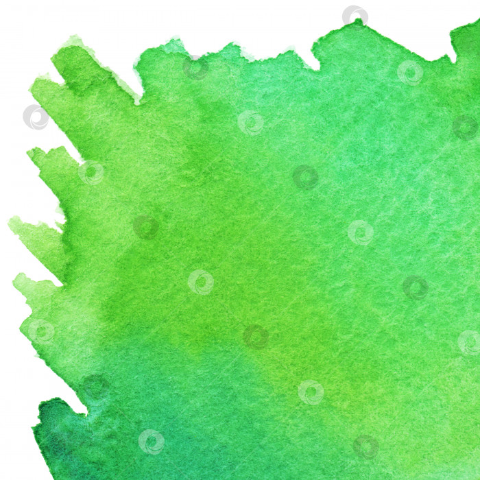 Скачать Акварельно-зеленое пятно фона текстурный фон изолирован фотосток Ozero