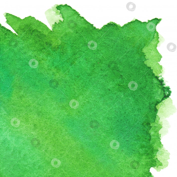 Скачать Акварельно-зеленое пятно фона текстурный фон изолирован фотосток Ozero