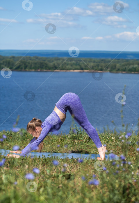 Скачать Фитнес-упражнения. Спортивная женщина занимается гимнастикой  фотосток Ozero