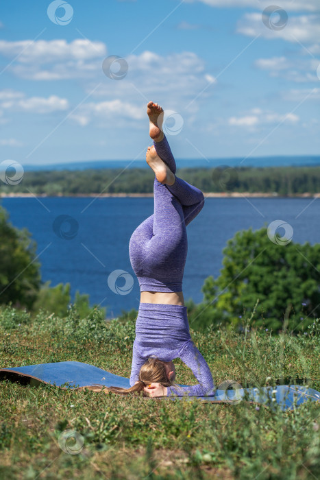 Скачать Фитнес-упражнения. Спортивная женщина занимается гимнастикой  фотосток Ozero