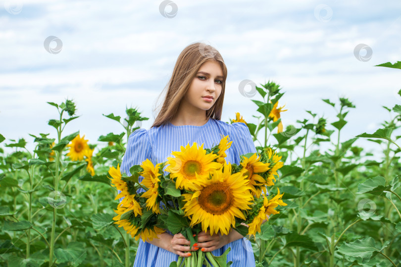 Скачать Молодая красивая девушка с букетом подсолнухов фотосток Ozero