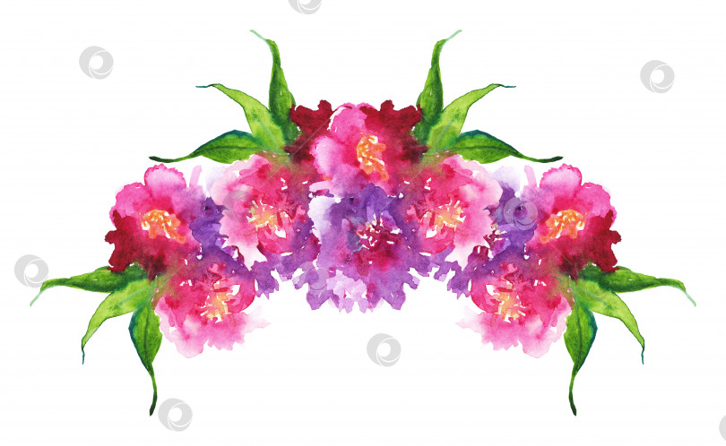 Скачать Акварель розовый фиолетовый цветок цветочный пион роза лист гвоздики бутоньерка композиция рамка изолированная художественная иллюстрация фотосток Ozero