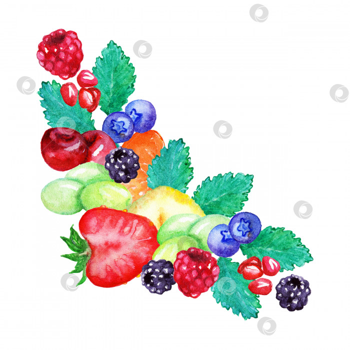Скачать Акварель фруктовая ягодная сладкая летняя рамка бордюр изолированное искусство фотосток Ozero