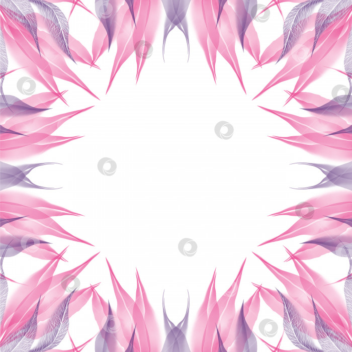 Скачать Осенний розовый фиолетовый фиолетовый прозрачный каркасный лист квадратная рамка бордюрная композиция изолированная на белом фоне акварель цифровое искусство фотосток Ozero