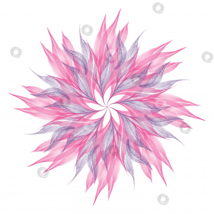 Скачать Осенний розовый фиолетовый фиолетовый прозрачный скелет лист круг цветок снежинка композиция изолированная на белом фоне акварель цифровое искусство фотосток Ozero