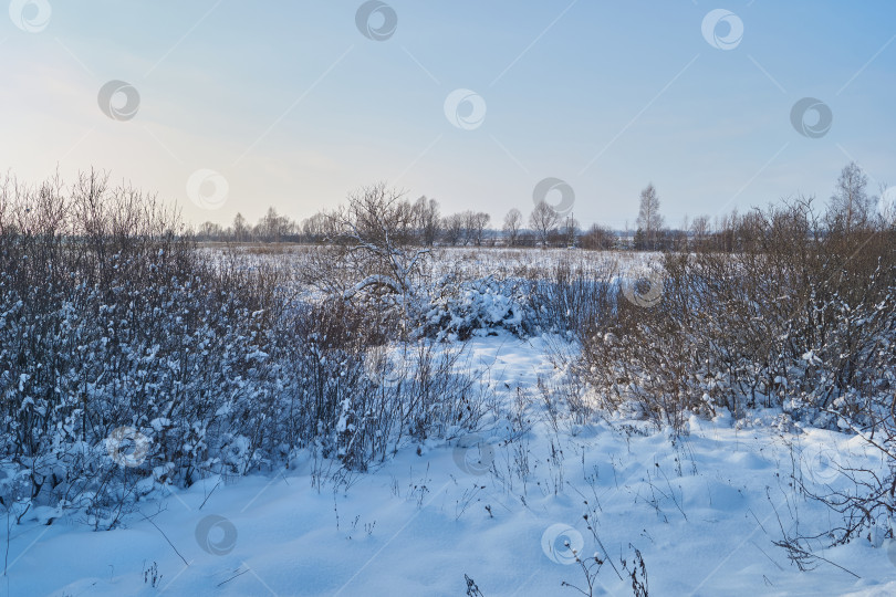 Скачать Снежный зимний пейзаж в пойме реки за городом. фотосток Ozero