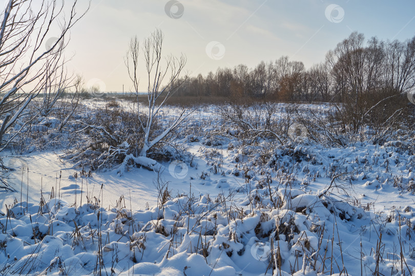 Скачать Снежный зимний пейзаж в пойме реки за городом. фотосток Ozero