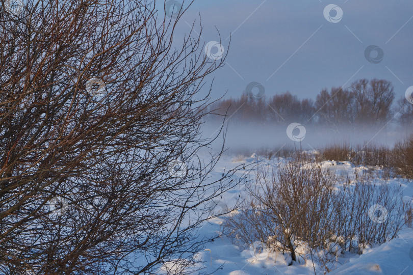 Скачать Снежный зимний пейзаж в пойме реки за городом. фотосток Ozero