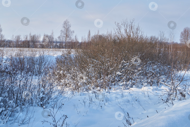 Скачать Снежный зимний пейзаж в пойме реки за городом. фотосток Ozero