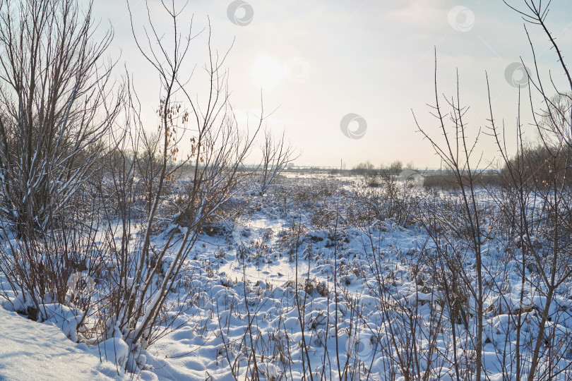 Скачать Снежный зимний пейзаж в пойме реки за городом. фотосток Ozero