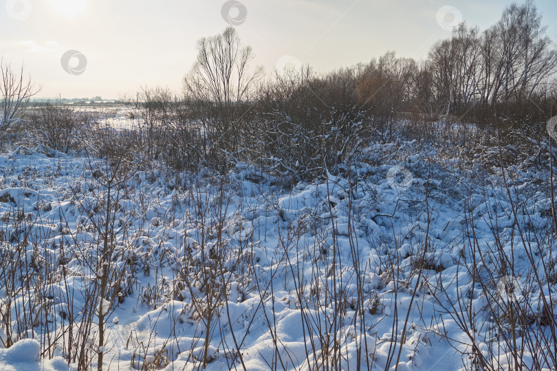 Скачать Снежный зимний пейзаж в пойме реки за городом. фотосток Ozero