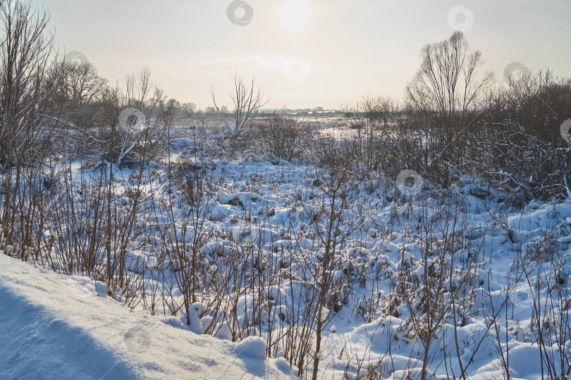 Скачать Снежный зимний пейзаж в пойме реки за городом. фотосток Ozero