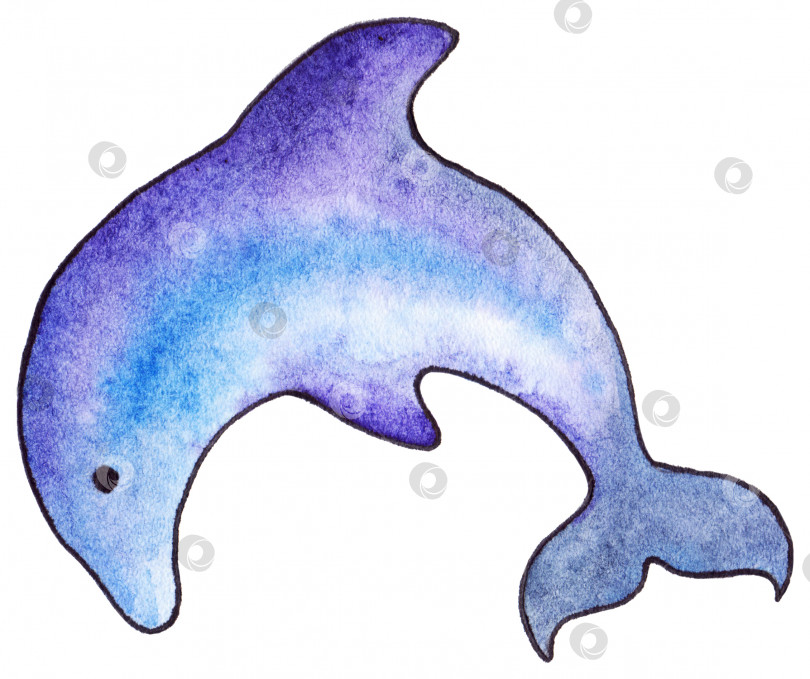 Скачать Акварель фиолетово-голубой дельфин морское животное изолированное искусство фотосток Ozero