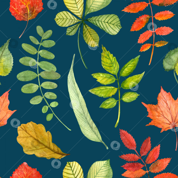 Скачать Акварельный бесшовный рисунок от руки с зелеными и красными листьями разных деревьев: дуба, ясеня, ивы, ивняка, мальвы, осины, рябины, сорба, акации, каштана, клена, липы фотосток Ozero
