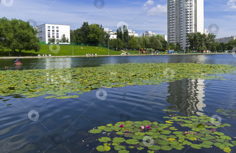 Скачать Городской пруд. Москва. фотосток Ozero