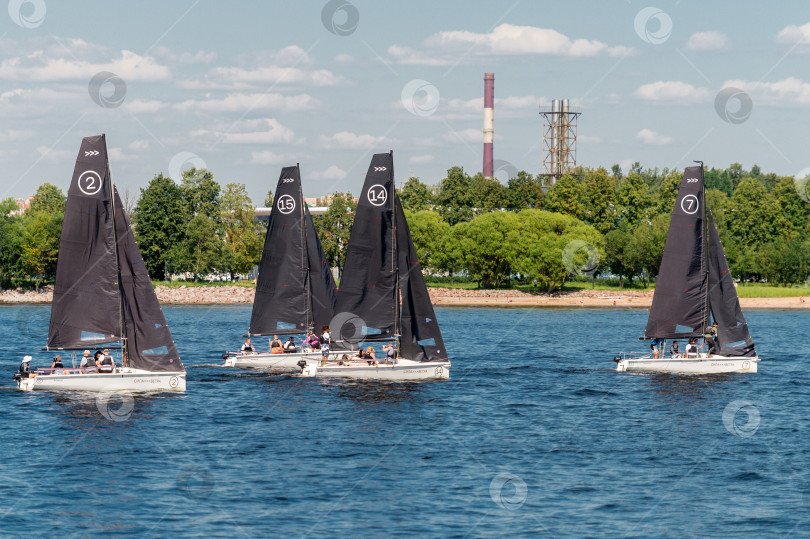 Скачать Россия, Санкт-Петербург, 24.07.2024 : парусная регата в Санкт-Петербурге в акватории Невы фотосток Ozero