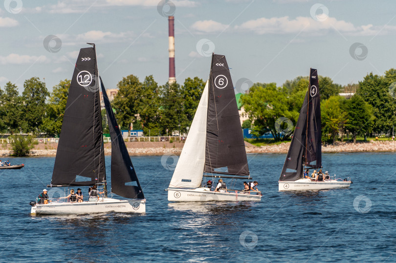 Скачать Россия, Санкт-Петербург, 24.07.2024 : парусная регата в Санкт-Петербурге в акватории Невы фотосток Ozero