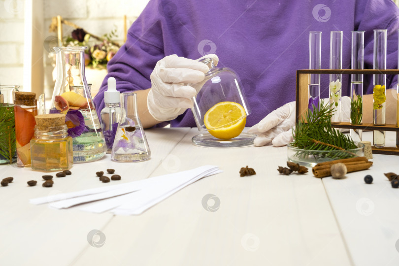 Скачать Приготовление парфюмерии из натуральных ингредиентов, ароматерапия. Свежие цветы и натуральные ингредиенты в химических пробирках и колбах фотосток Ozero