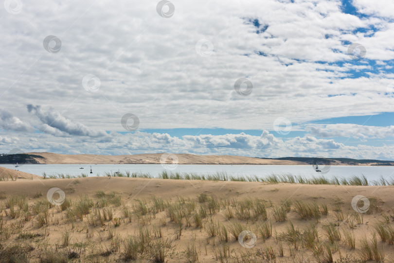 Скачать Вид на залив Аркашон, Аквитания, Франция фотосток Ozero