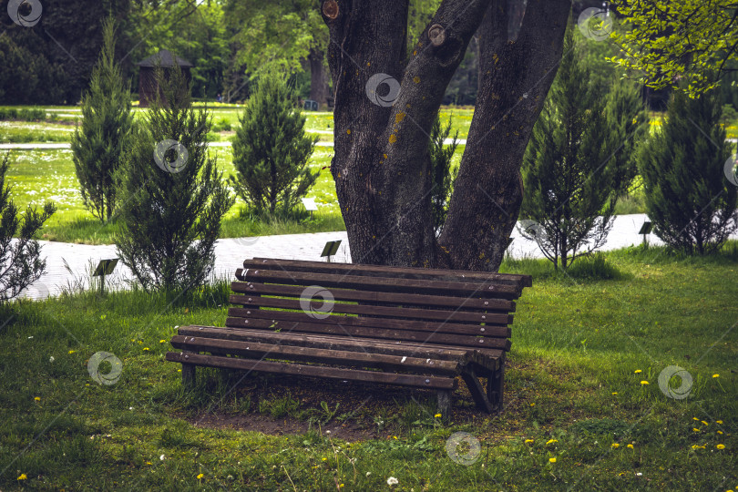 Скачать Пустая старая деревянная скамейка в тенистой части сада или парка, на открытом воздухе. Пустая скамейка под деревом в парке, хорошее место для отдыха фотосток Ozero
