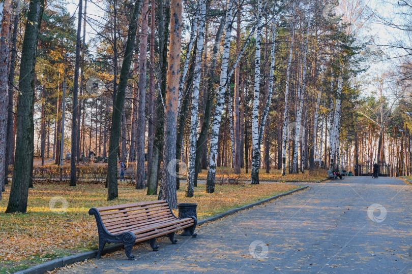 Скачать Красивая коричневая деревянная скамейка на аллее городского парка осенью. фотосток Ozero