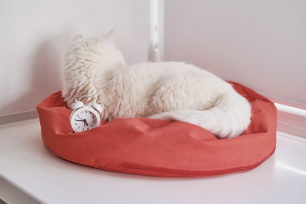 [object Object] undefined