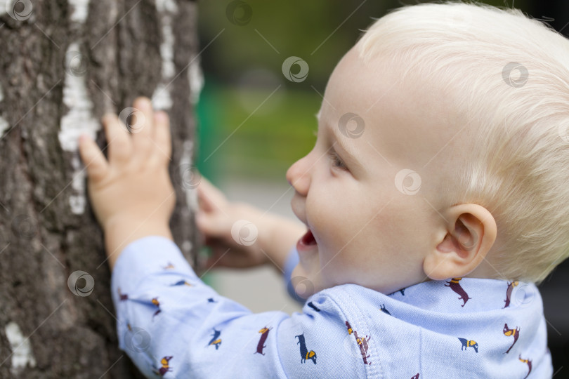 Скачать Светловолосый малыш фотосток Ozero