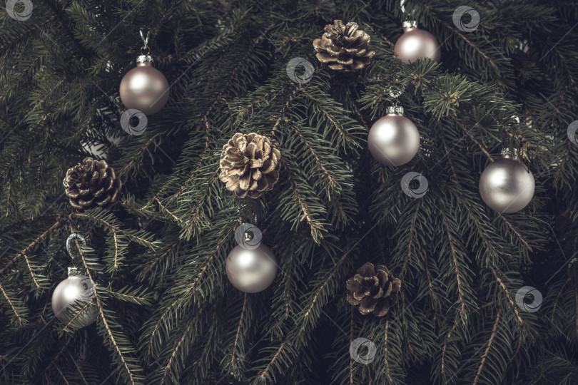 Скачать Обои Рождественская елка с рождественскими шарами. Рождественская елка в качестве фона фотосток Ozero