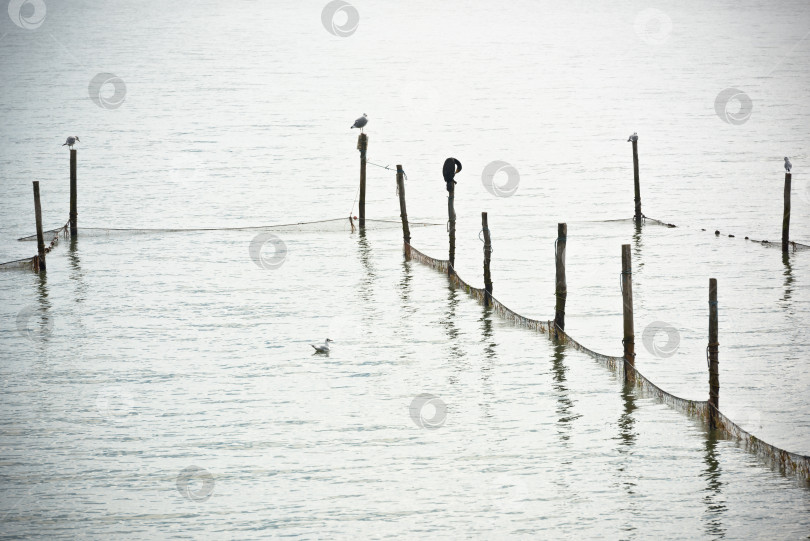 Скачать Пейзаж Северного моря фотосток Ozero