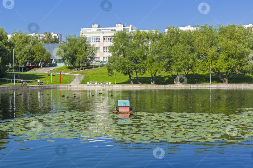 Скачать Пруд в Москве. фотосток Ozero