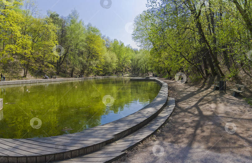 Скачать Пруд в парке в солнечный весенний день. фотосток Ozero