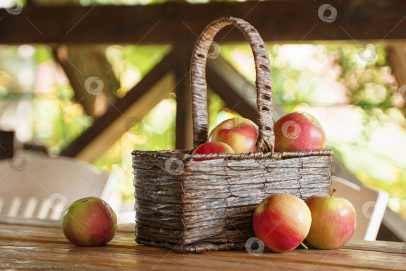 Скачать Спелые яблоки в корзине и на деревянном столе фотосток Ozero
