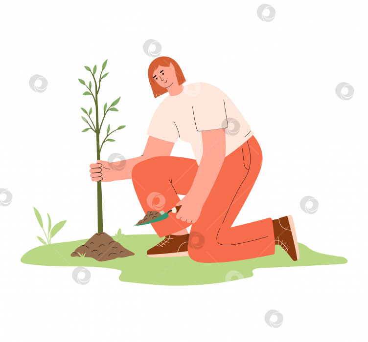Скачать Женщина сажает дерево в парке. Восстановление лесов, забота о природе фотосток Ozero