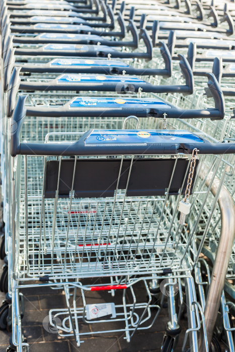 Скачать Линия тележек для покупок в супермаркете Lidl фотосток Ozero