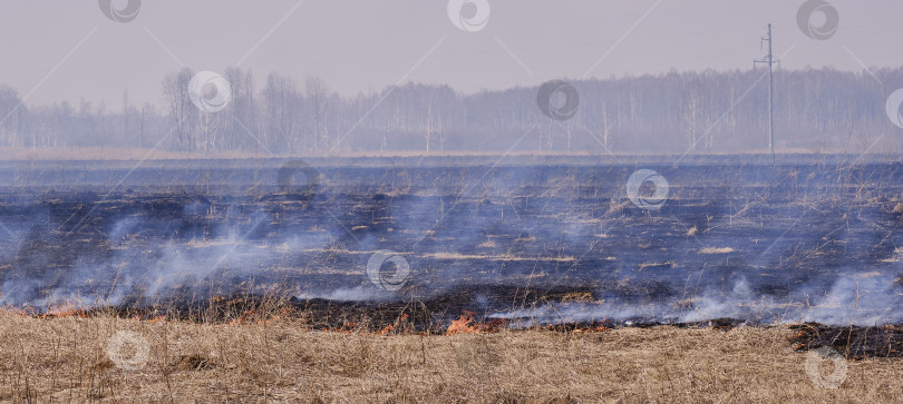 Скачать Весной на поле горит сухая трава. фотосток Ozero