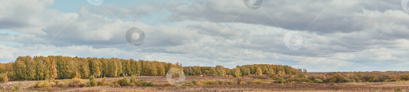 Скачать Красивый сельский пейзаж с красочными лесами и полями фотосток Ozero