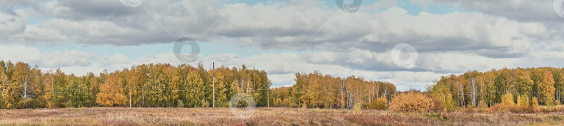 Скачать Красивый сельский пейзаж с красочными лесами и полями фотосток Ozero