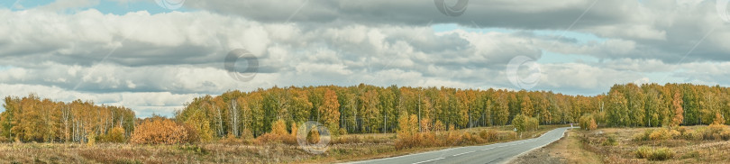 Скачать Красивый сельский пейзаж с дорогой, убегающей вдаль среди разноцветных лесов и полей фотосток Ozero